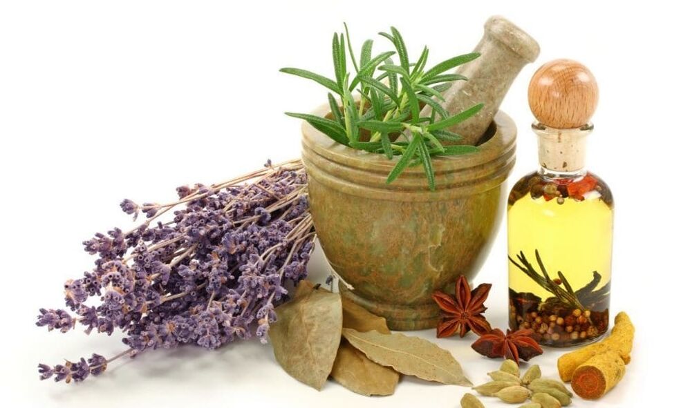 Medicinal plants in the fight against varicose veins in the legs.